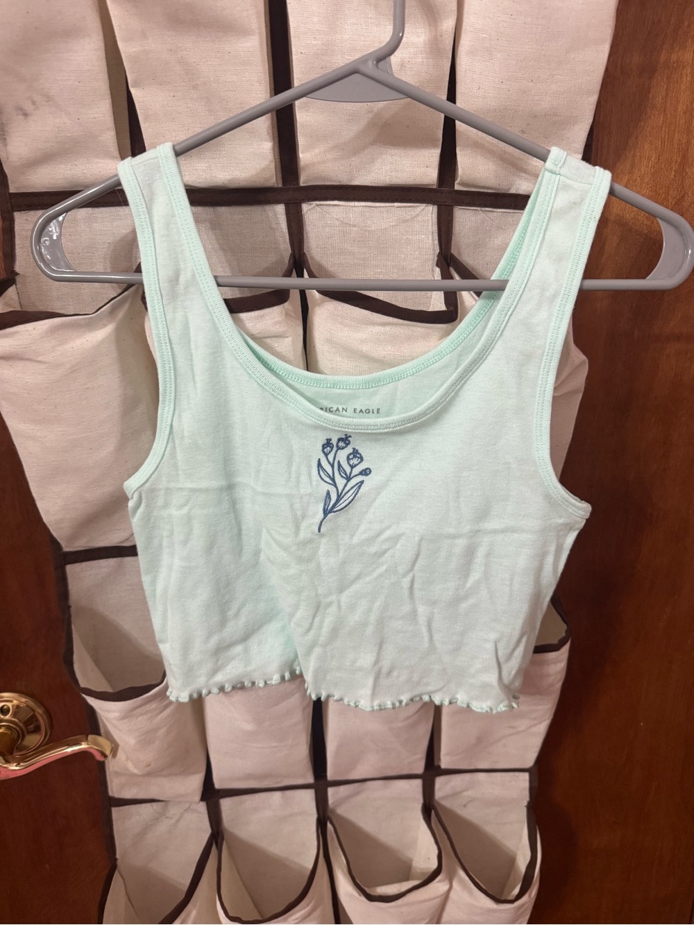 American Eagle Outfitters Light Mint Cropped Tank with Blue Floral Stitching